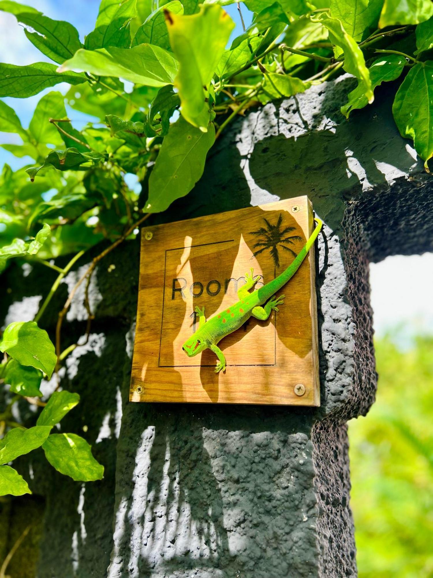 The Good Life - Eco Lodges & Serenity Boutique Hotel - Adults Only Cap Malheureux Esterno foto